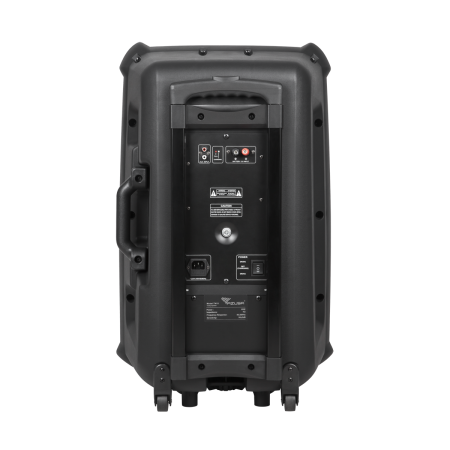 Kolumna aktywna z 2 mikrofonami bezprzewodowymi, SD, Bluetooth, USB 15" 120W