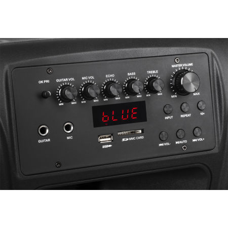 Kolumna aktywna z 2 mikrofonami bezprzewodowymi, SD, Bluetooth, USB 15" 120W