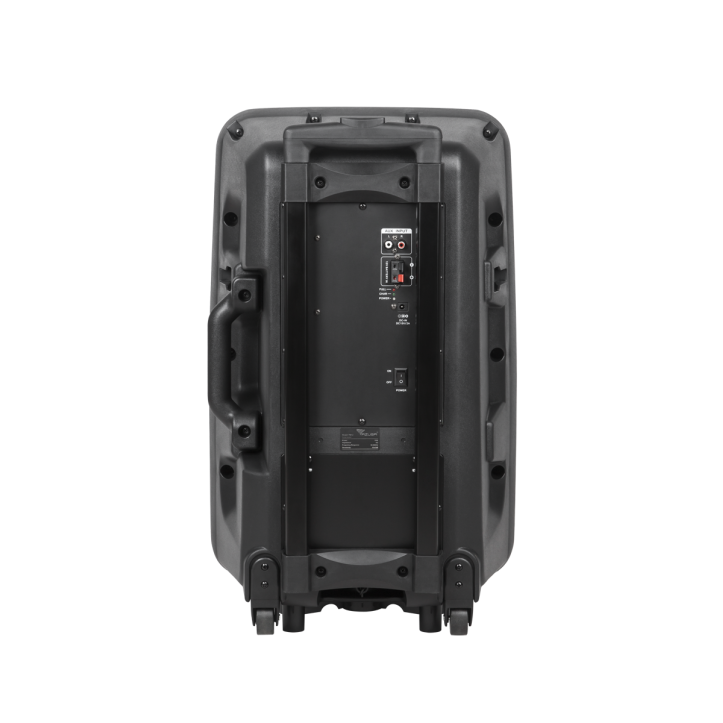 Kolumna aktywna z 2 mikrofonami bezprzewodowymi, SD, Bluetooth, USB 12"