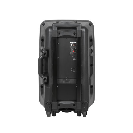 Kolumna aktywna z 2 mikrofonami bezprzewodowymi, SD, Bluetooth, USB 12"