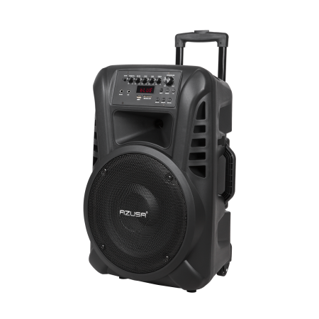 Kolumna aktywna z 2 mikrofonami bezprzewodowymi, SD, Bluetooth, USB 12"