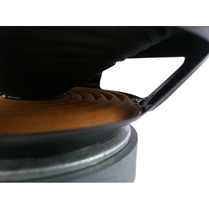 Głośnik Fonics 8 Cali HW 800 4ohm