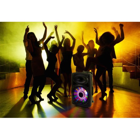 Mobilna Kolumna FPS-12 z mikrofonem i Bluetooth