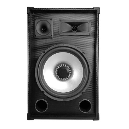 Kolumna Estradowa 10cali z LED