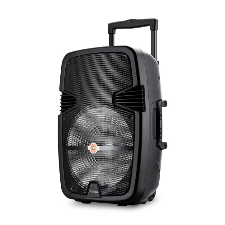 Przenośny Głośnik Bluetooth USB radio FM VK-C15BT