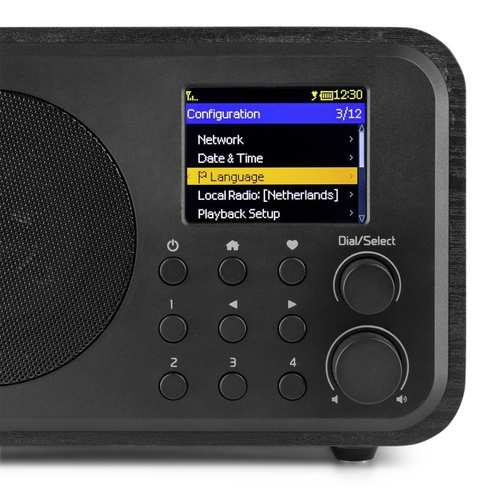 Radio Internetowe Audizio Vicenza WIFI Z DAB+ z baterią