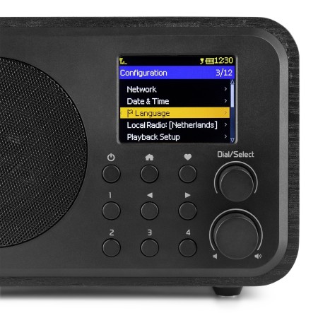 Radio Internetowe Audizio Vicenza WIFI Z DAB+ z baterią