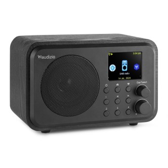 Radio Internetowe Audizio Vicenza WIFI Z DAB+ z baterią