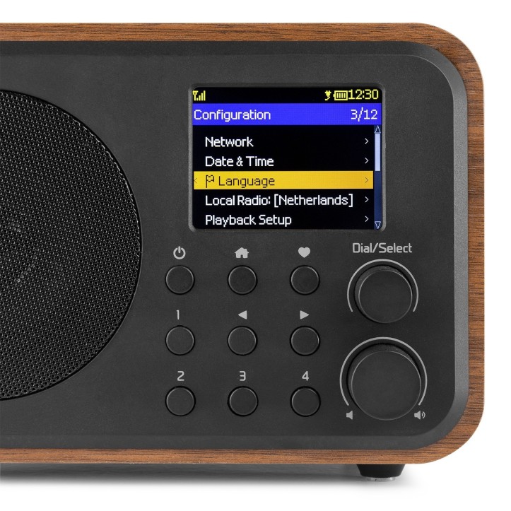 Radio Internetowe Audizio Vicenza WIFI Z DAB+ z baterią