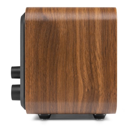 Radio Internetowe Audizio Vicenza WIFI Z DAB+ z baterią