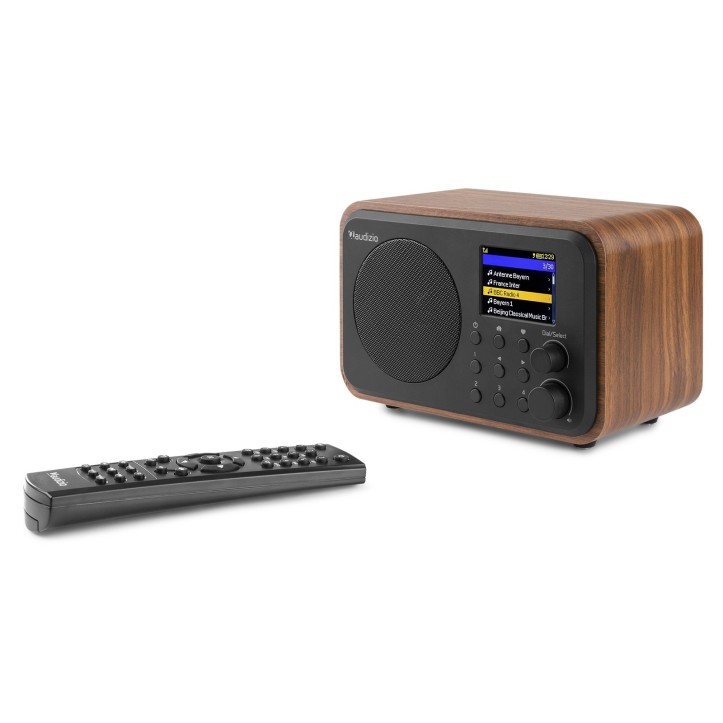 Radio Internetowe Audizio Vicenza WIFI Z DAB+ z baterią