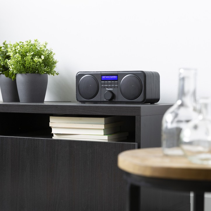 Audizio Novara Radio FM DAB+